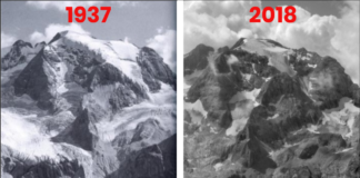 ghiacci 1937 vs ghiacci 2018